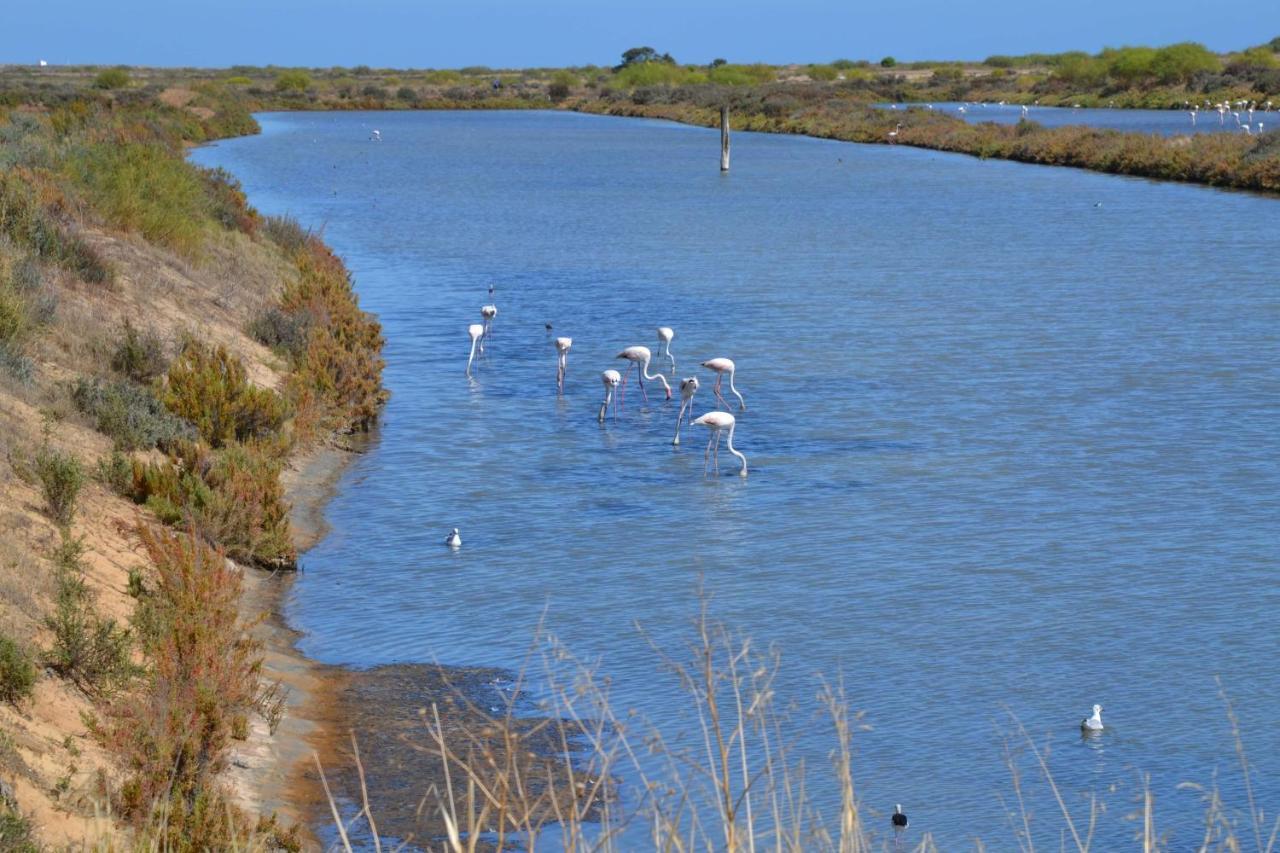 Casinha Secreta - A Gema Escondida Da Santa Luzia Διαμέρισμα Santa Luzia  Εξωτερικό φωτογραφία