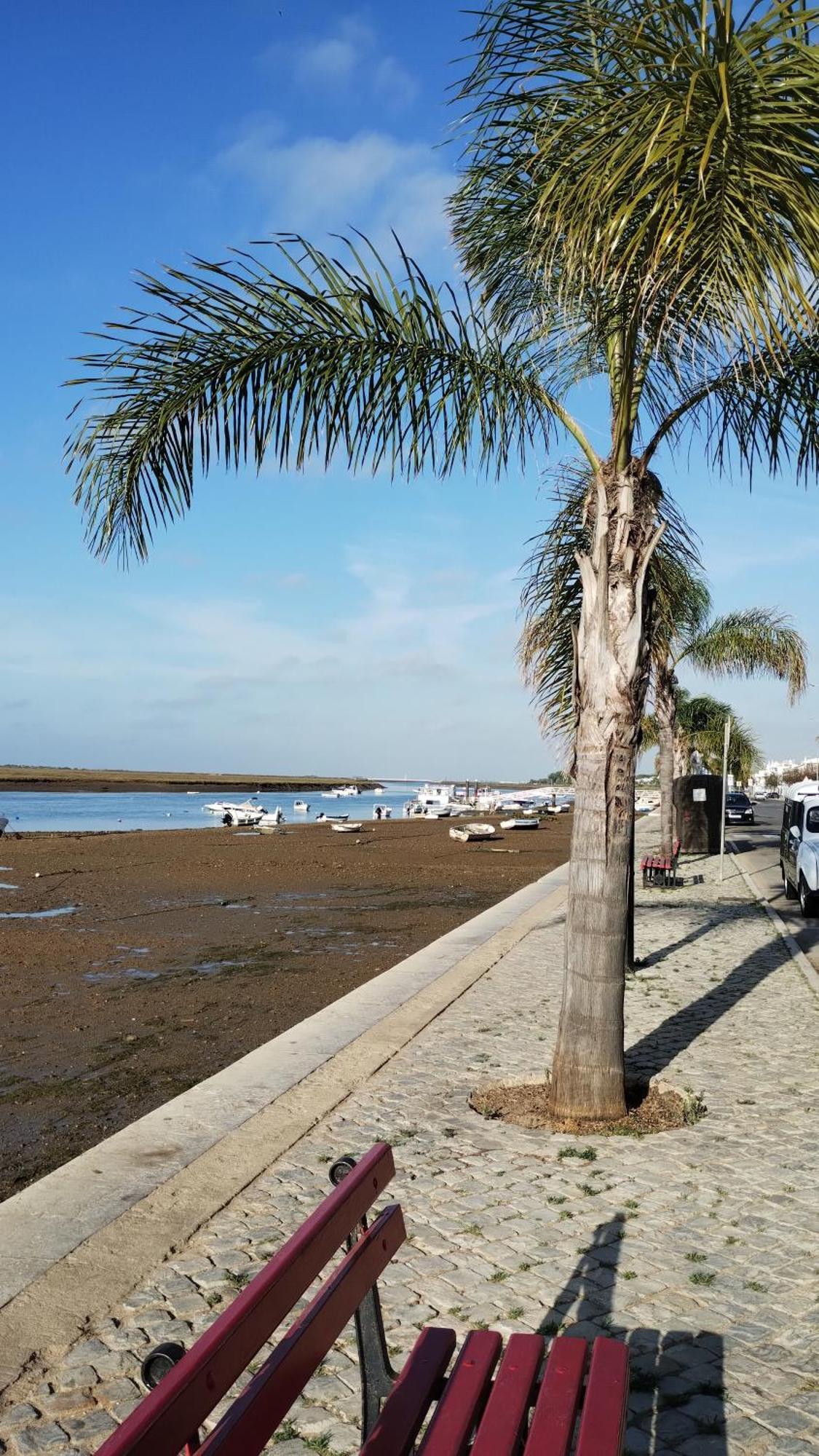 Casinha Secreta - A Gema Escondida Da Santa Luzia Διαμέρισμα Santa Luzia  Εξωτερικό φωτογραφία